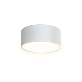 MENNYEZETI LÁMPA, LED ARCHI CEILING W, 171032, 15W, 3000/4000/5000K, FEHÉR